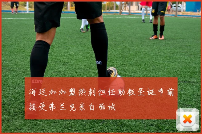 海廷加加盟热刺担任助教圣诞节前接受弗兰克亲自面试