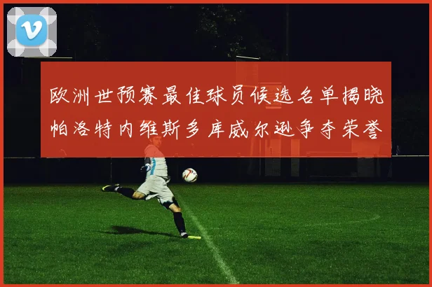 欧洲世预赛最佳球员候选名单揭晓帕洛特内维斯多库威尔逊争夺荣誉