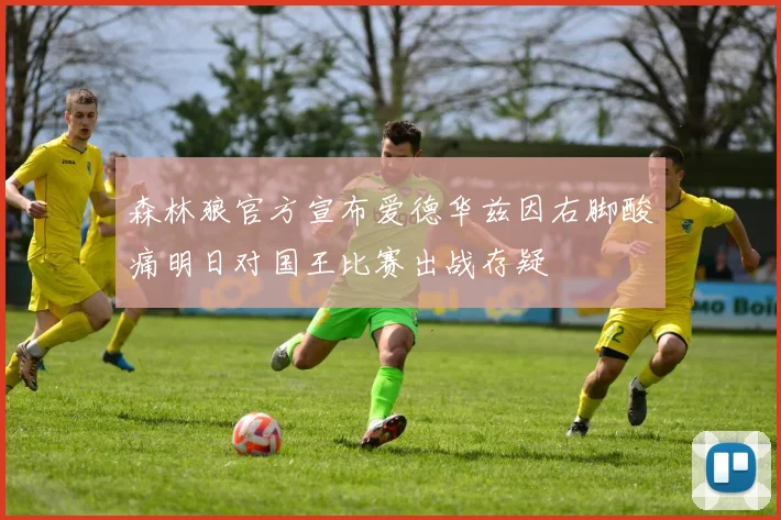 森林狼官方宣布爱德华兹因右脚酸痛明日对国王比赛出战存疑